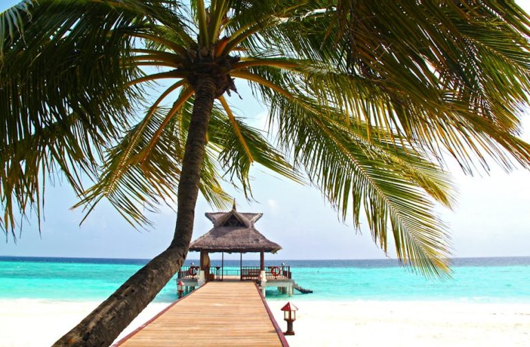 Unveiling the Magic of Tourism and Destination Marketing